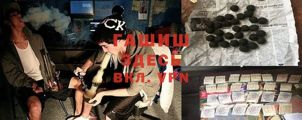 индика Гатчина