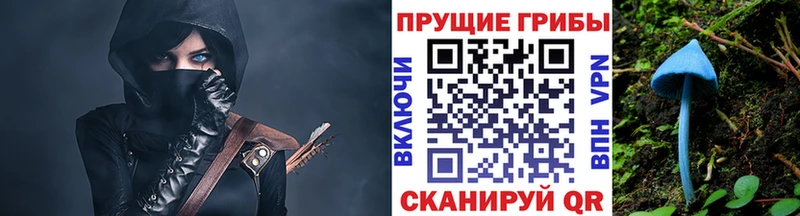 Галлюциногенные грибы Psilocybine cubensis  сколько стоит  Гаврилов Посад 
